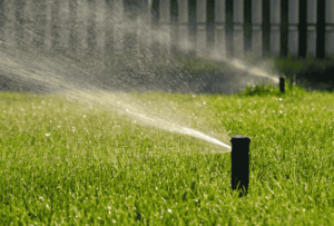 watering: technique of commercial lawn maintenance in Milton